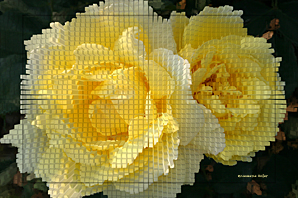 Cube-Flower-IV-by-Rosemarie-Hofer-Blog