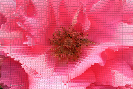 Cube-Flower-IX-by-Rosemarie-Hofer