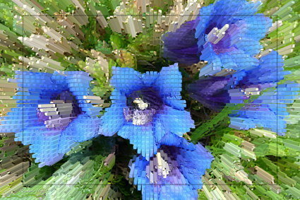 Cube-Flower-XI-by-Rosemarie-Hofer