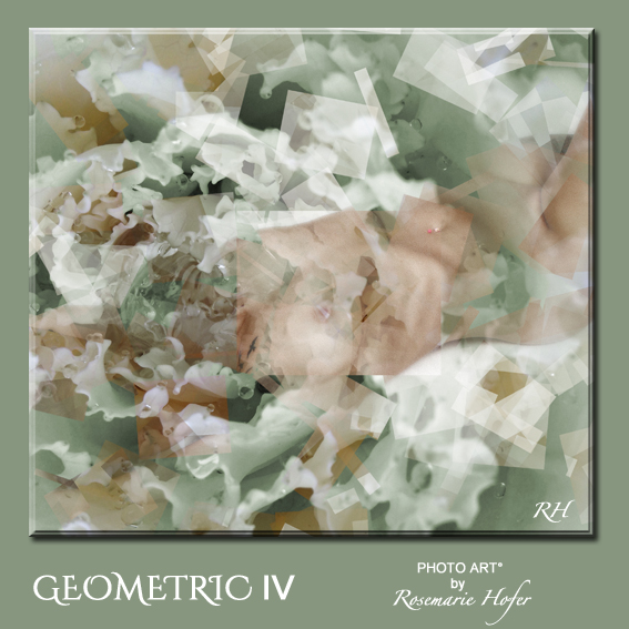 Geometric-IV-PHOTO-ART°-by-Rosemarie-Hofer-80x89cm