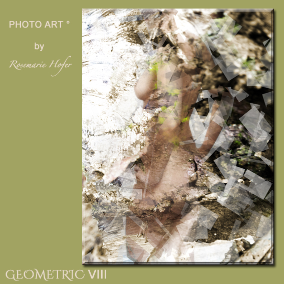 Geometric-VIII-PHOTO-ART°-by-Rosemarie-Hofer