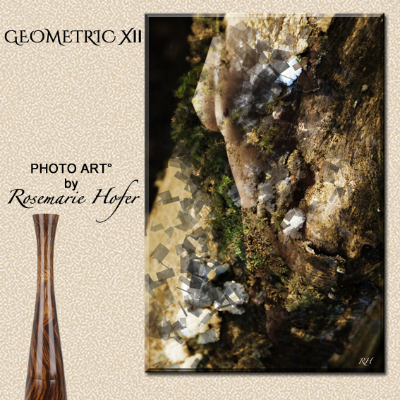 Geometric-XII-PHOTO-ART°-by-Rosemarie-Hofer-120x180cm