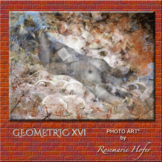 Geometric-XVI-PHOTO-ART°-by-Rosemarie-Hofer-WP