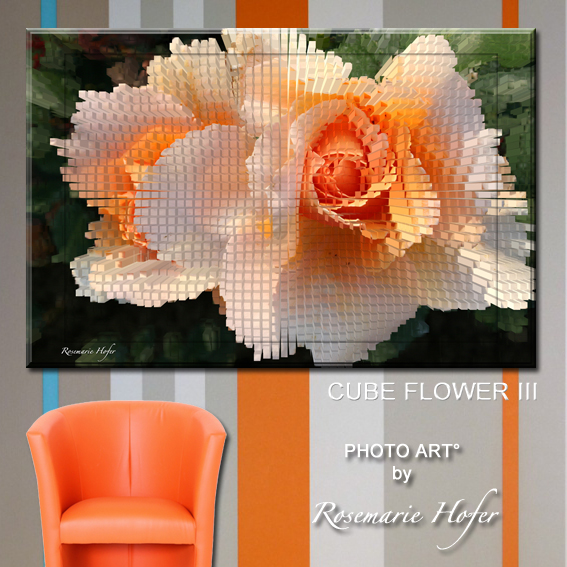 CUBE-FLOWER-III-PHOTO-ART°-by-Rosemarie-Hofer-WP