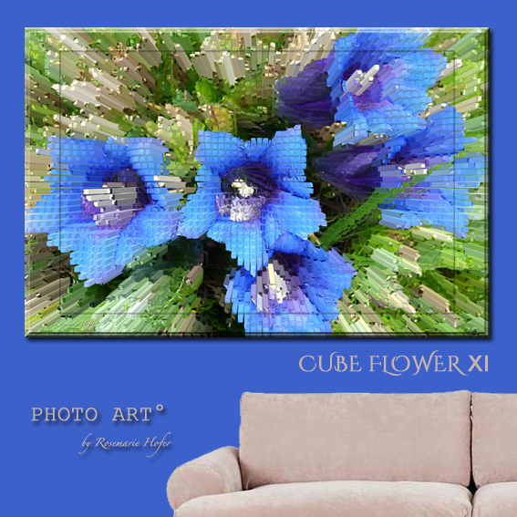 CUBE-Flower-XI-PHOTO-ART°-by-Rosemarie-Hofer-Internetposting